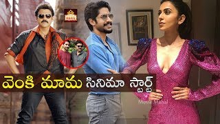 వెంక‌టేష్‌ నాగ‌చైత‌న్య మ‌ల్టీస్టార‌ర్ షురూ | Naga Chaitanya | Venkatesh | Movie Mahal