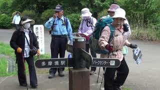 2023/4/23 : 都立小山内裏公園散策(4/4) お季楽会: Hiking in Oyamadairi Park (4/4) by Okiraku-Kai Hiking Group