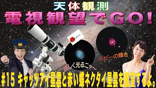 【電視観望でGO！】#15 キャッツアイ星雲と赤い蝶ネクタイ星雲を観望するよ。