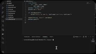 Week 8 : Lesson 2 - Python Reflection