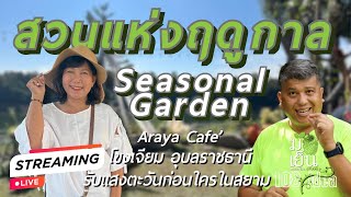 สวนแห่งฤดูกาล Seasonal garden ที่ Araya Café โขงเจียม อุบลราชธานี I มือเย็น 108 พันไอเดีย