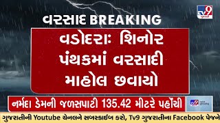 વડોદરાના શિનોર વિસ્તારમાં ધોધમાર વરસાદ  | Gujarat Rains | Monsoon