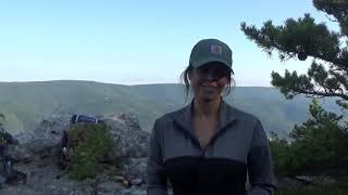 landis trail, Chimney top in West Virgina (i do not own the rights to the music)