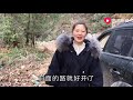 山路泥泞上不去，女司机倒着开一手就上去了，这种方法你会吗