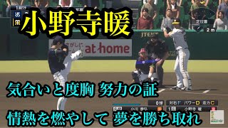 阪神タイガース　小野寺暖　新応援歌【プロスピ2020】