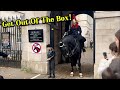 GET OUT! MUM CLUELESS, SHE LET HER DAUGHTER STAND NEXT TO HORSE 🚫❌🤬😡