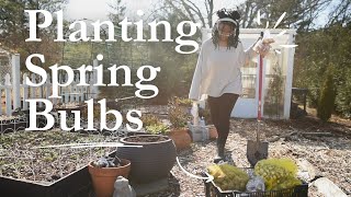 Finally Planting the Tulip \u0026 Daffodil Bulbs!! | A Peaceful Garden Vlog..