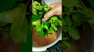 drumstick leaves soup/morunga leaves soup/මුරුංගා කොළ සුප් #short