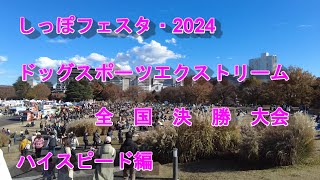 2024年度　エクストリーム全国決勝大会　ハイスピード編