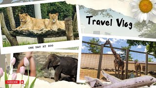 My Visit At Zoo 🦖 ll Travell Vlog Part 1 ll