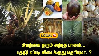 Non Alcoholic Drink | Organic Pathaneer | Neera | இயற்கை தரும் அற்புத பானம் | Palm Tree |  #local18