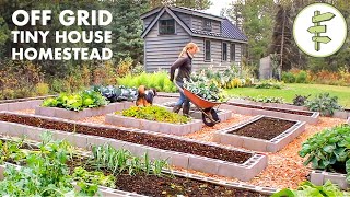 Living Off-Grid on a Tiny House Homestead for 6 Years