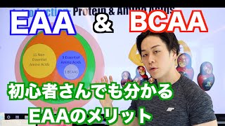 EAAとBCAAについて改めて解説！オススメのEAAサプリは？