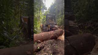 Komatsu D68ess pulling logs#constructionequipment #bulldozer#heavyequipment