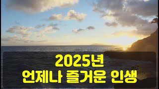 2025년 즐거운 인생 계획!