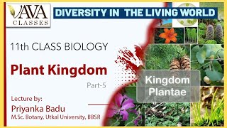 Class 11 Biology - Plant Kingdom | Diversity in the Living World | VAVA Classes