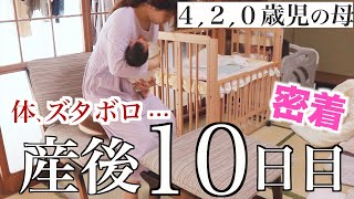 【新生児】３人目、産後１０ 日目のとある日に密着【４歳　２歳　新生児　産褥期】