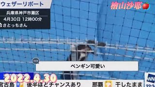 檜山沙耶　ペンギン大好きさやっち🐧2022.4.30