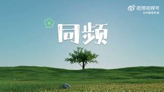 SAME FREQUENCY 同频 - BOYUAN 伯远 ▶ Music Video (Song for World Environment Day) [ENG SUB]