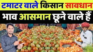 टमाटर का भाव कब बढ़ेगा 2025 | tomato rate in future | tamatar ka bhav kab badhega