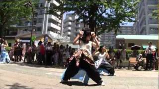 よさこい祭り in 光が丘2011　朝霞なるこ一族め組