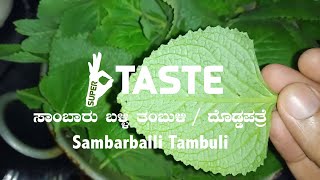 Sambarballi Soppu Tambuli | ಸಾಂಬಾರ್ ಬಳ್ಳಿ ತಂಬುಳಿ | Doddapatre chutney #chutney #supertaste