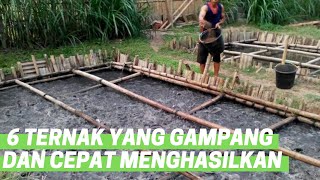 Ternak Yang Cepat Menghasilkan Uang Dan Gampang Dijalankan