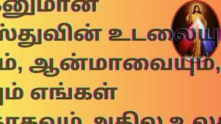 இறை இரக்கத்தின் ஜெபமாலை CHAPLET OF DIVINE MERCY IN TAMIL #tamilbiblewisdom  JAN24