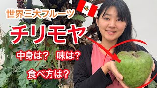 ペルー特産！世界三大フルーツ【チリモヤ】とは【Vlog】