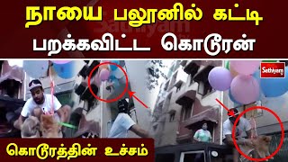 நாயை பலூனில் கட்டி பறக்கவிட்ட கொடூரன் - கொடூரத்தின் உச்சம் | Sathiyam TV