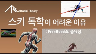 스키 독학이 어려운 이유(feedback) - ARCski 이론 #09