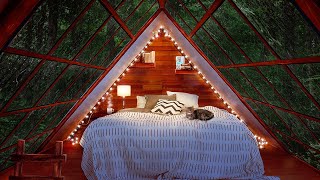 Cozy Cabin Ambience - Rainstorm with Thunder Sounds for Sleep 8 Hours