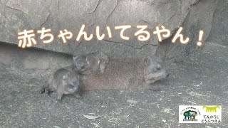 赤ちゃんいてるやん！