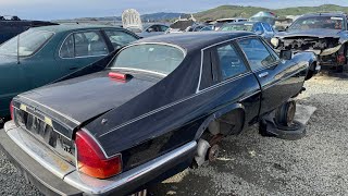 1985 Jaguar XJS at California Junkyard