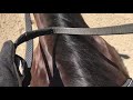 How to Properly Hold your Reins and Use Them