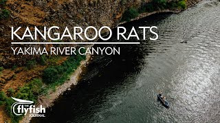 KANGAROO RATS: Flyfishing and Floating the Yakima River Canyon in the NRS Approach 120