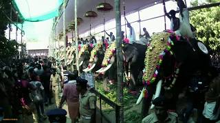 ഇലഞ്ഞിത്തറ മേളം  | Trissur pooram 2019 Elanjithara Melam || Angel Beatz||