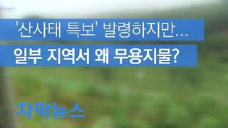 [자막뉴스] ‘산사태 특보’ 재난 사각지대에선 무용지물 / KBS뉴스(News)