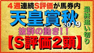 天皇賞・秋2019【最終追い切り】S評価は２頭！