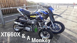 Yamaha XT660X and Monkey Bike