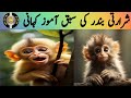 Bander ki Kahani||story of monkey 🐒//bander ki kahaniya/#stories #intresting#story