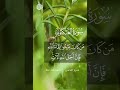 آيات مرعبة ❤️القارئ عمرو القاضي || حالات واتس ||آ يات قصيرة Quran Status #shorts