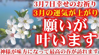 幸せを呼ぶ春の花を撮影しました。3月7日の朝の浄化祈願