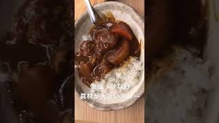 仙台ランチ　ひな野　具材が大きいカレー