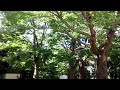 ウェザーリポート動画0912 14時01分頃 アキラs@横浜「今日の横浜の空」山手・元町公園