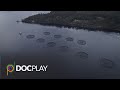 Paradise Lost | Official Trailer | DocPlay