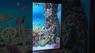 Uniqu \u0026 Creative Fish Tank in Sea Life Bangkok Ocean World 🤩🐠🐡