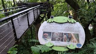 微風細雨~漫步桃園虎頭山步道