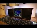 Reveal: Henri the Cat's TV Tank | Tanked