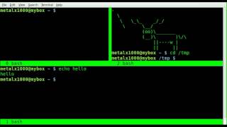 Split Screen with Screen in Linux - BASH